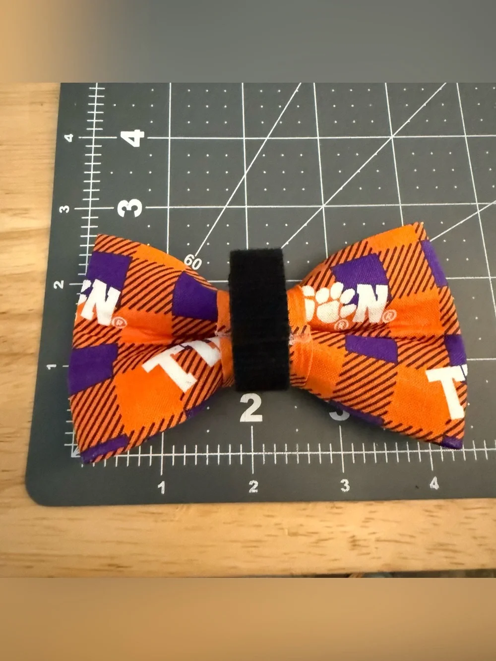 N/A clemson pet